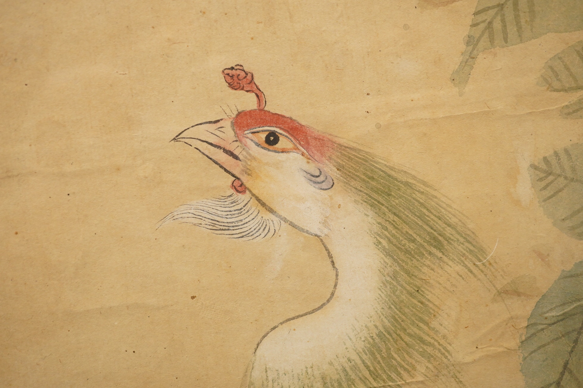 Chinese School , (18th/19th century), Phoenixes amid flowers, Ink and colour on paper; a pair